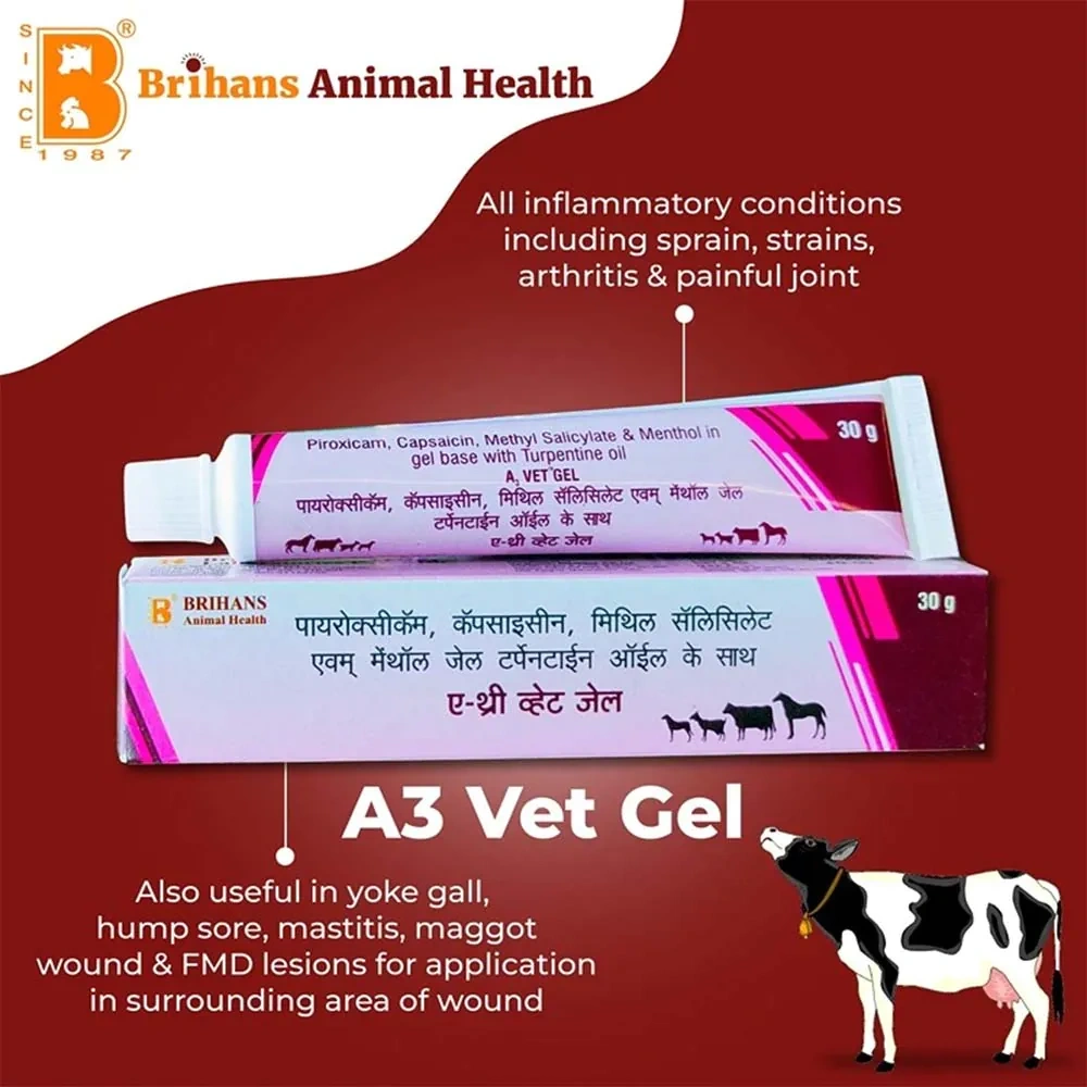 A3 Vet Gel - Image 2
