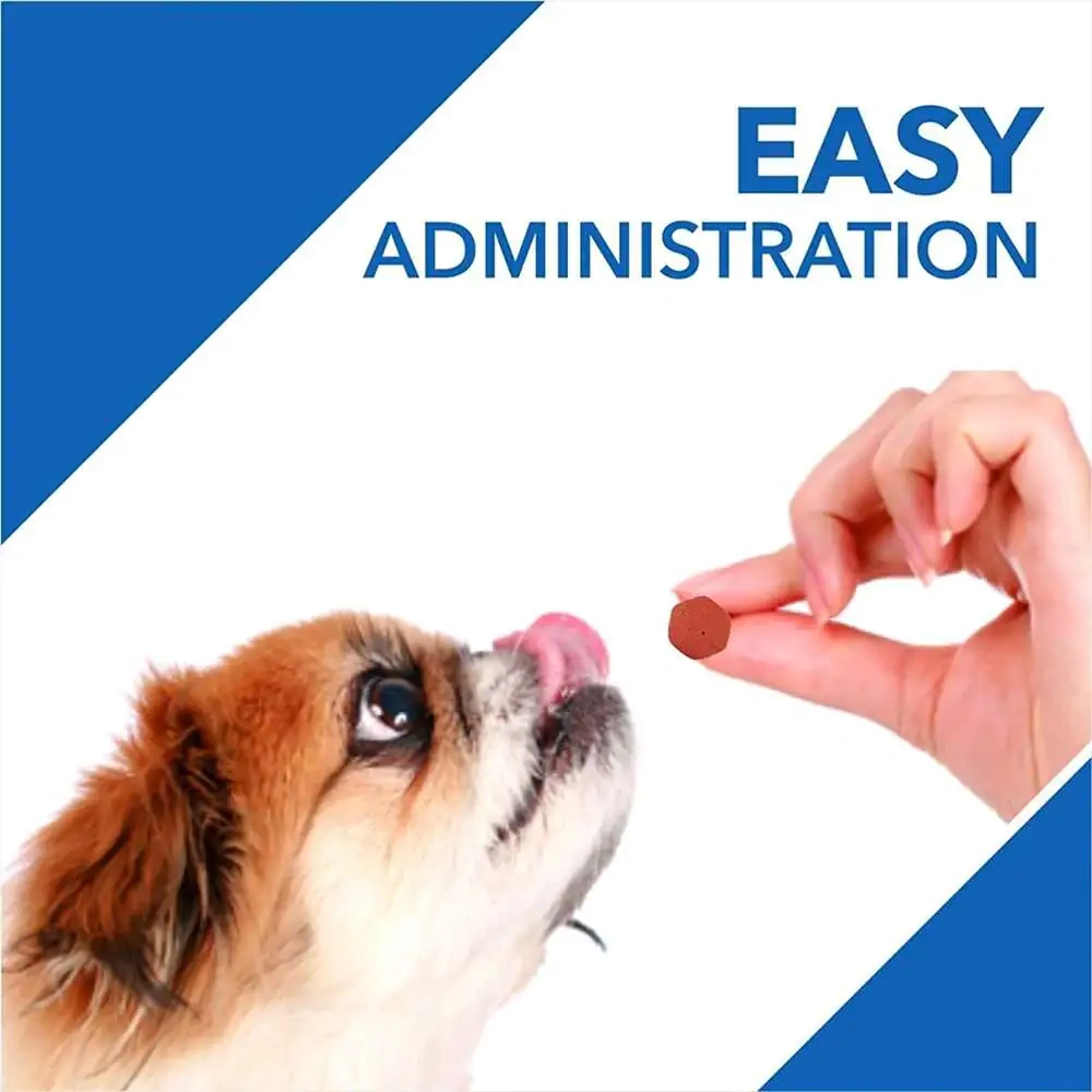 Absolute Tablets Vitamins - Image 5