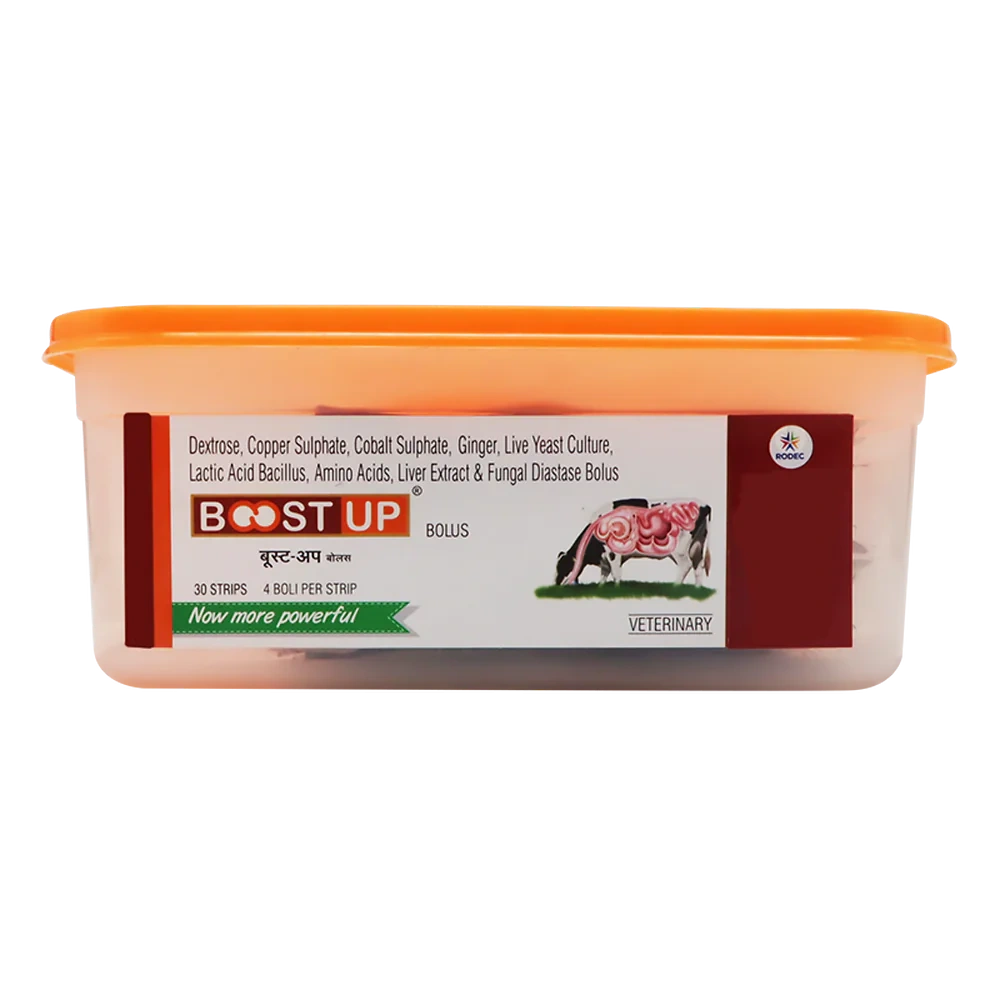 Boost Up Bolus