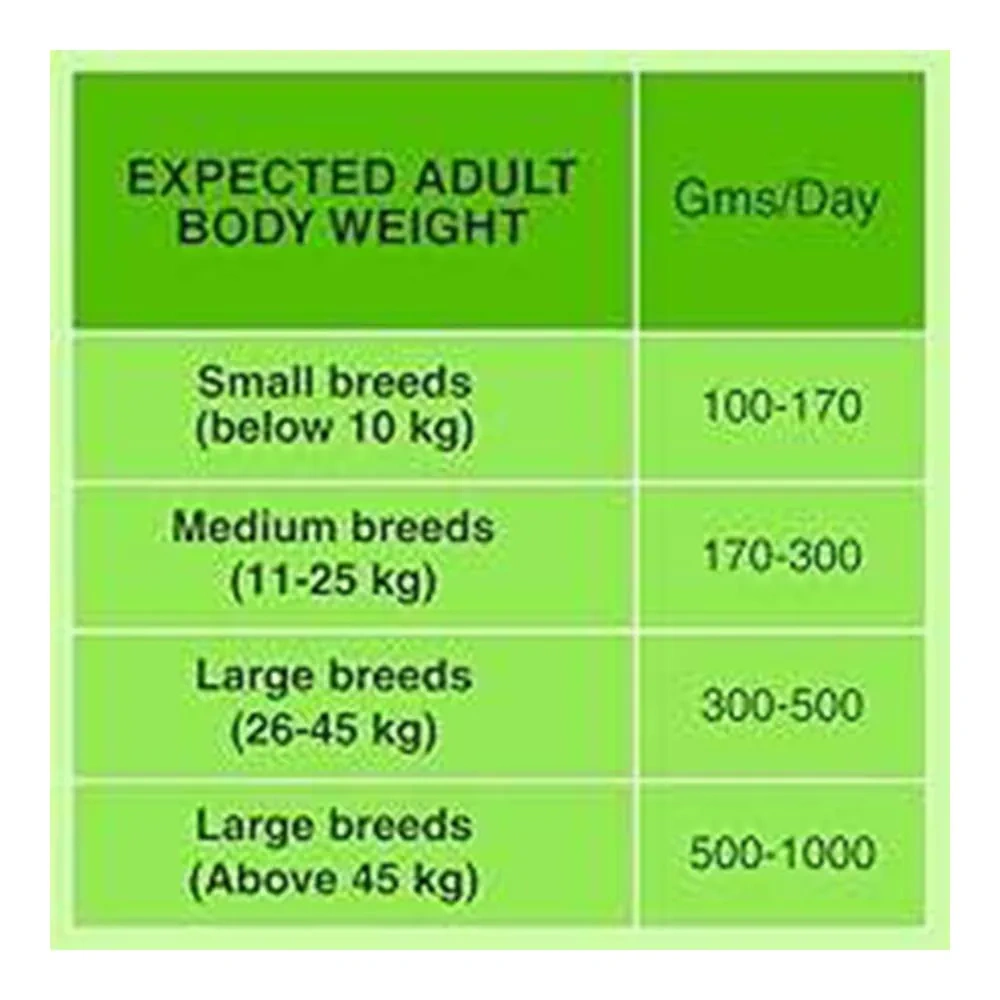 Canine Creek Adult - Image 5
