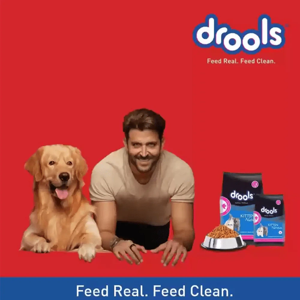 Drools Kitten Ocean Fish - Image 3