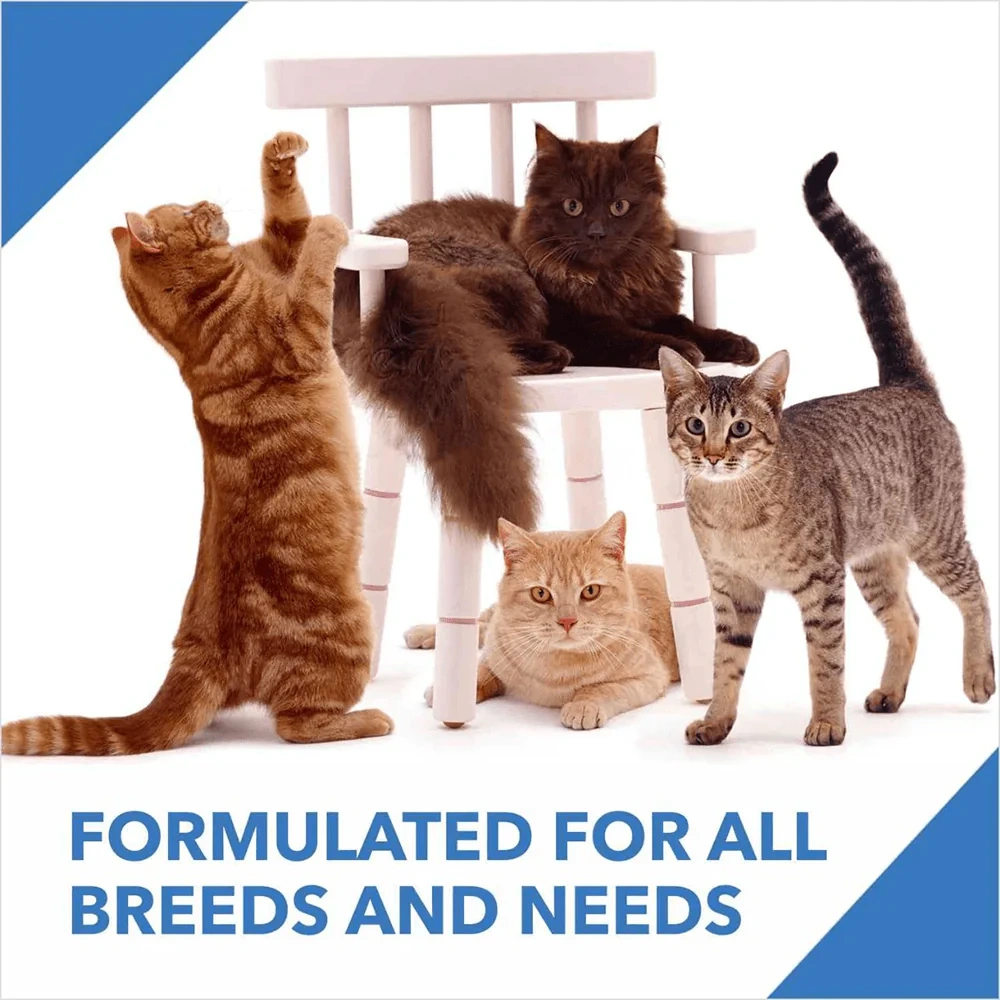 Drools Kitten Ocean Fish - Image 4