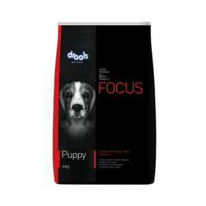 Focus Puppy