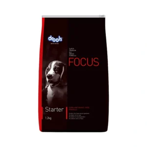 Focus Starter