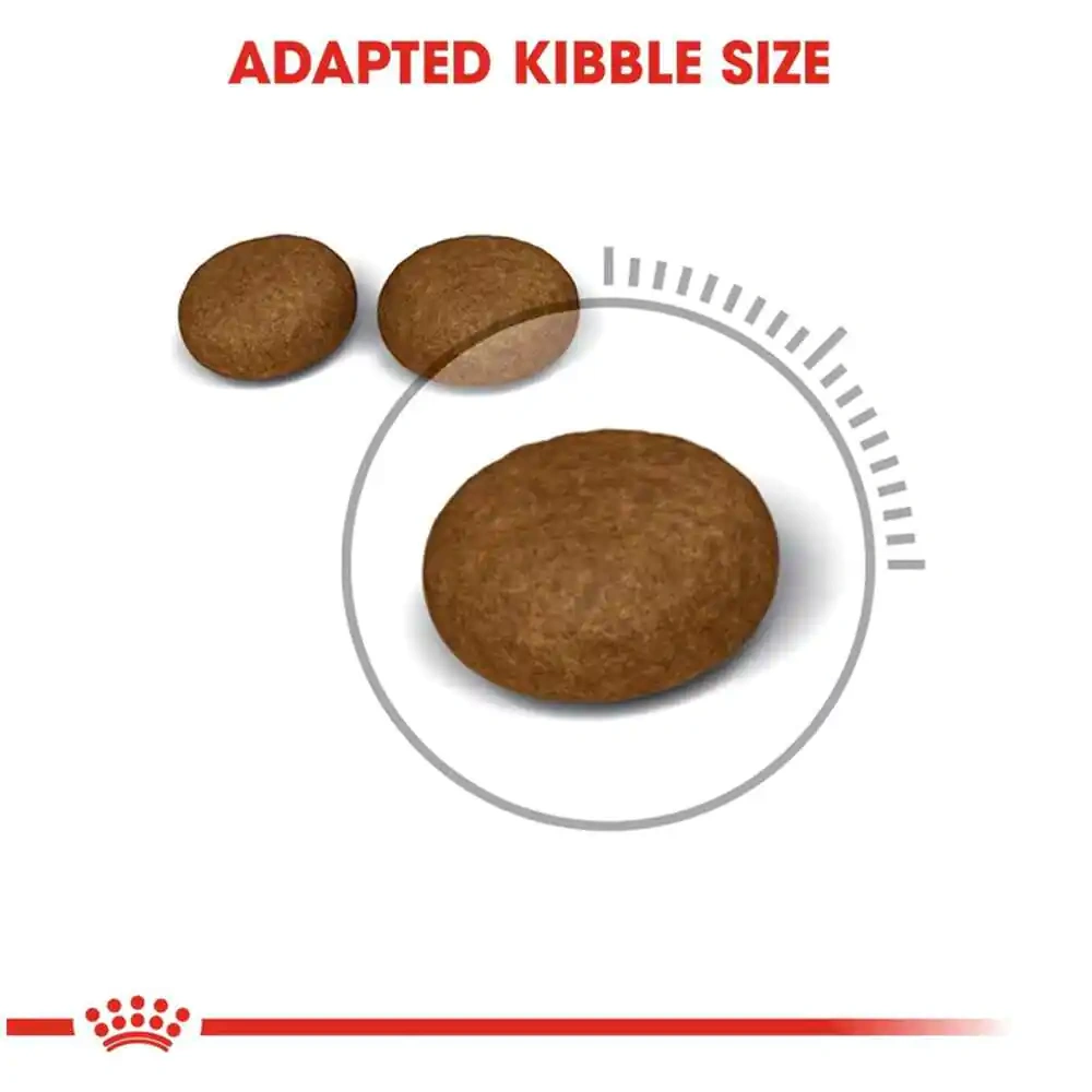 Hair And Skin - Image 3