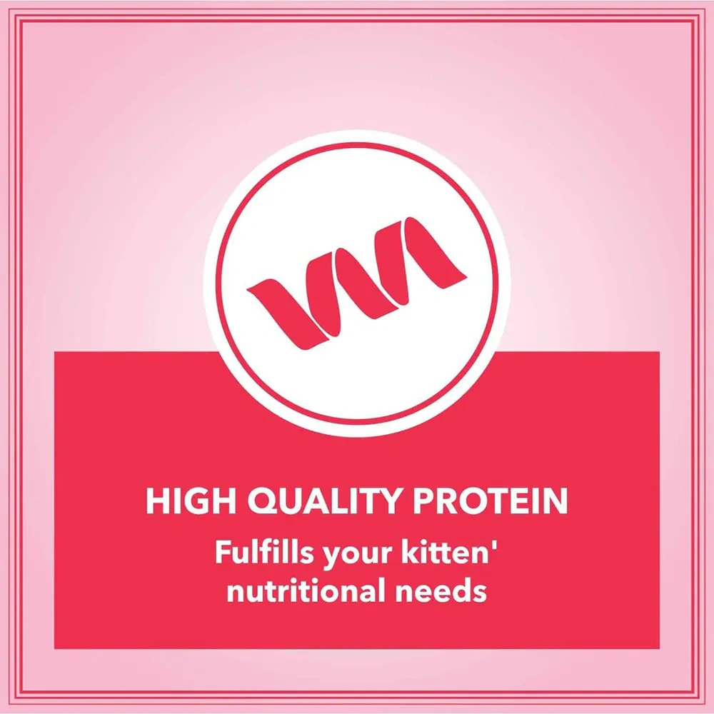 Let’s Bite Cat Adult - Image 4