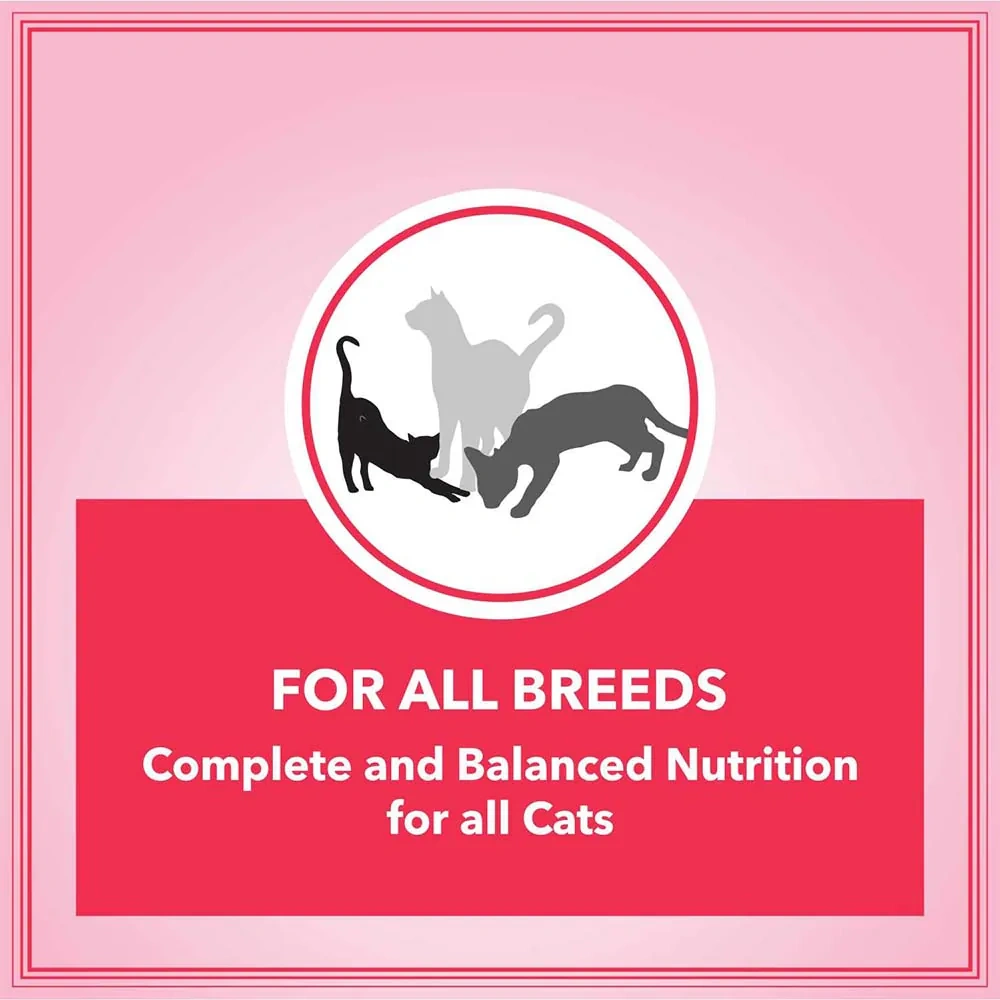 Let’s Bite Cat Adult - Image 5