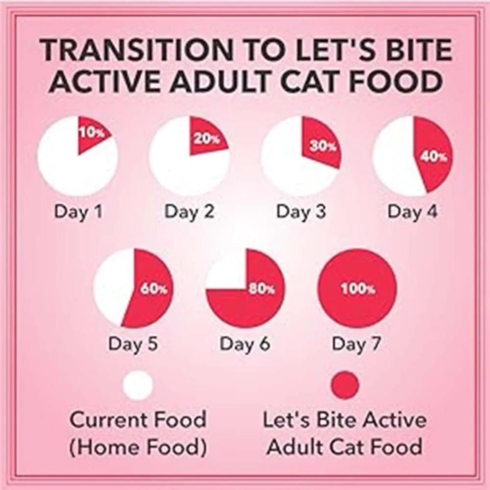 Let’s Bite Cat Adult - Image 7