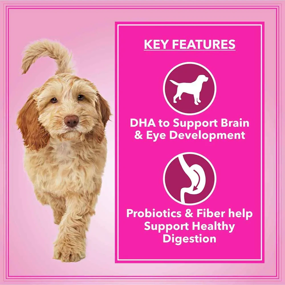 Let’s Bite Dog Adult - Image 3