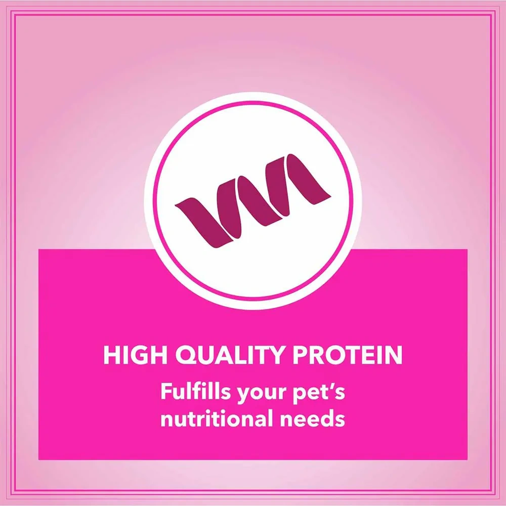 Let’s Bite Dog Adult - Image 4