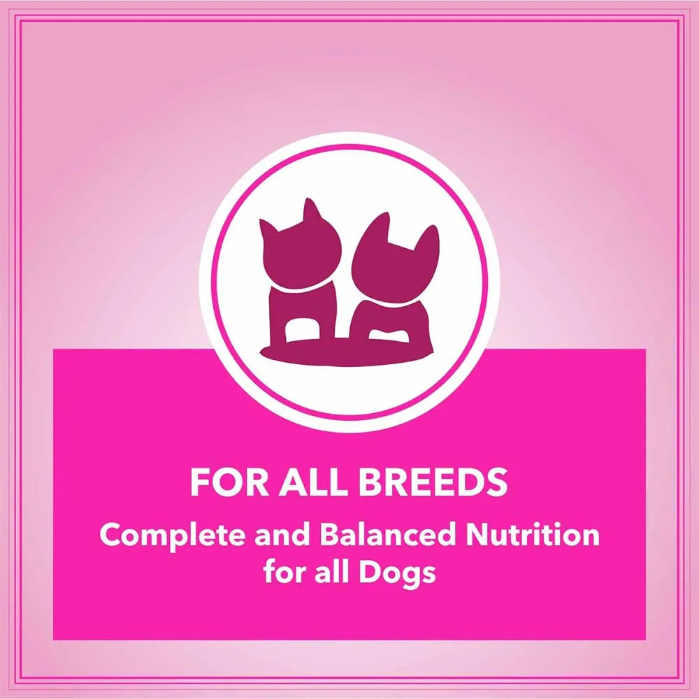 Let’s Bite Dog Adult - Image 5