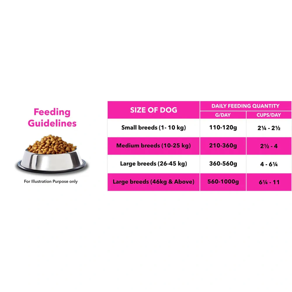 Let’s Bite Dog Adult - Image 10