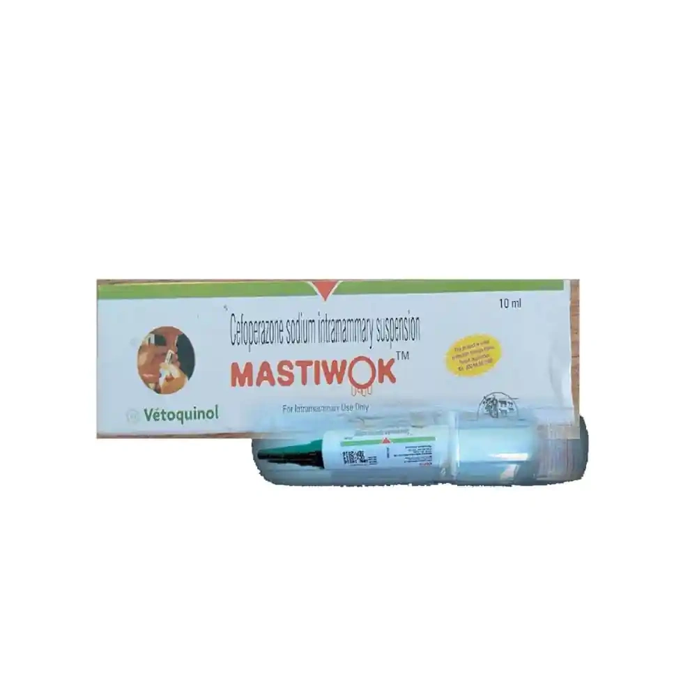 MASTIWOK - Image 2