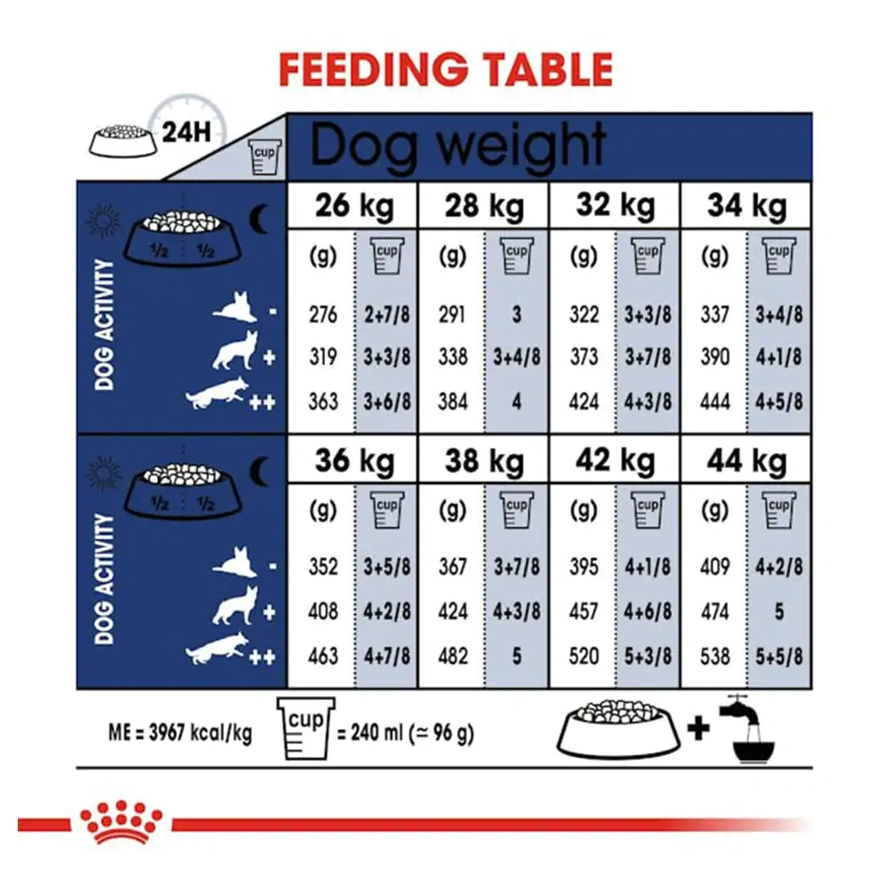 Maxi Adult - Image 3