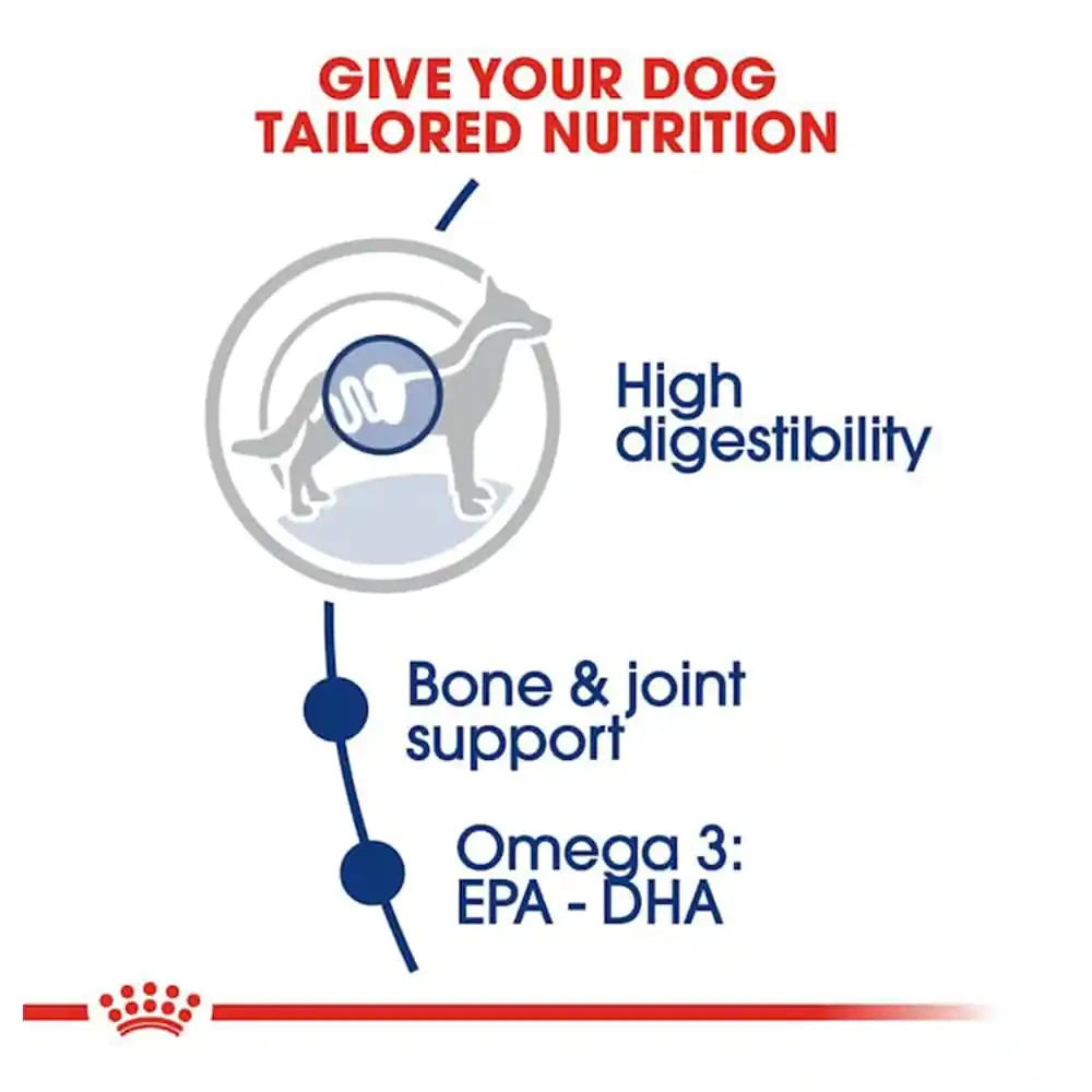 Maxi Adult - Image 4