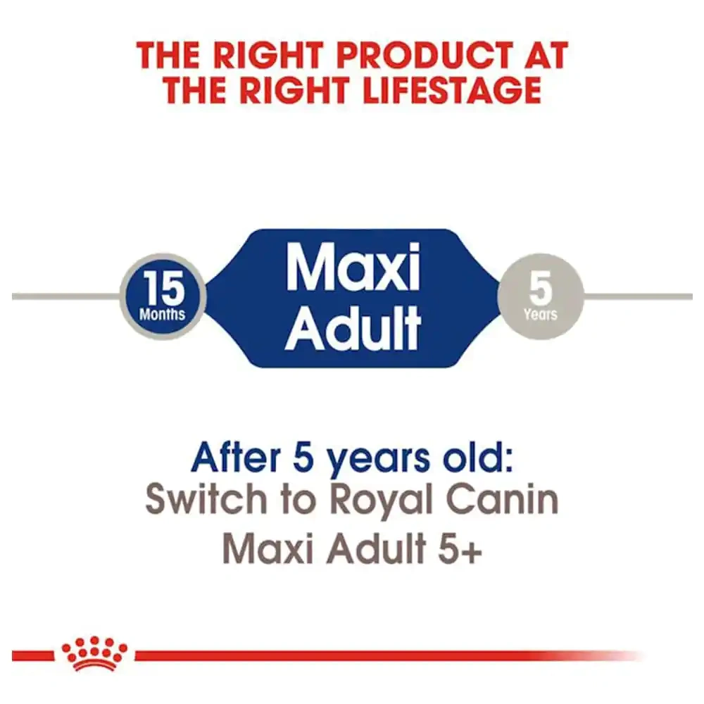 Maxi Adult - Image 2