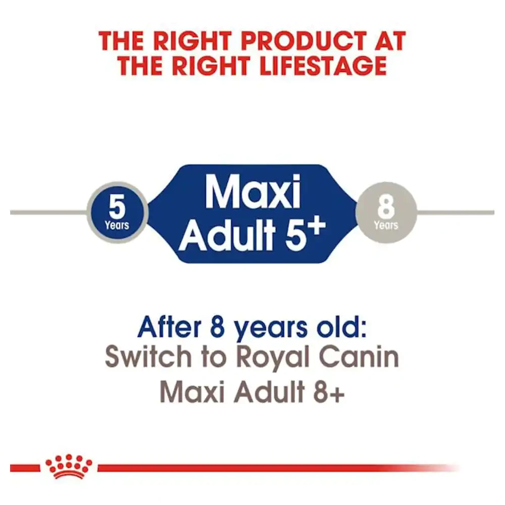 Maxi Adult 5+ - Image 4