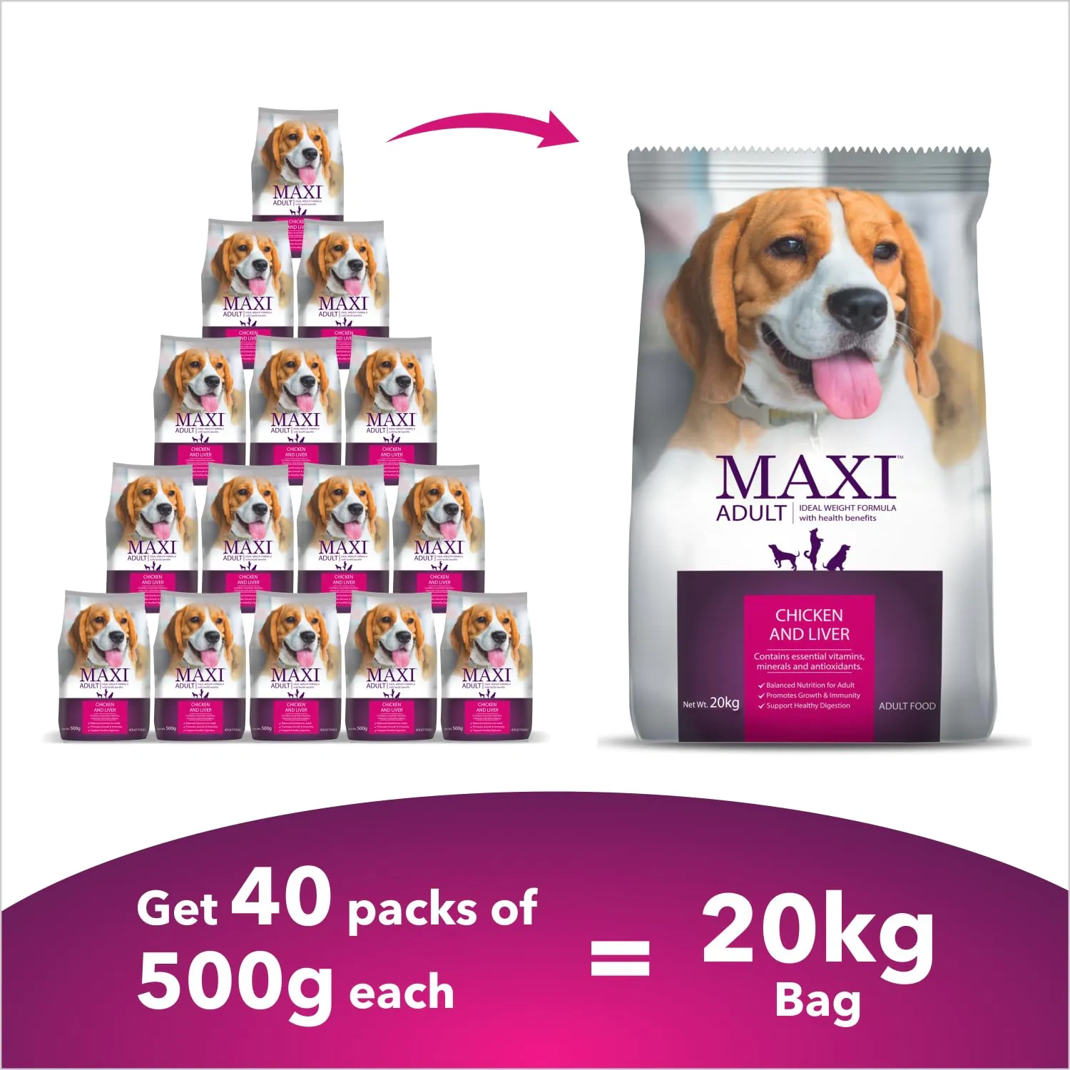 Maxi Adult Dog - Image 2
