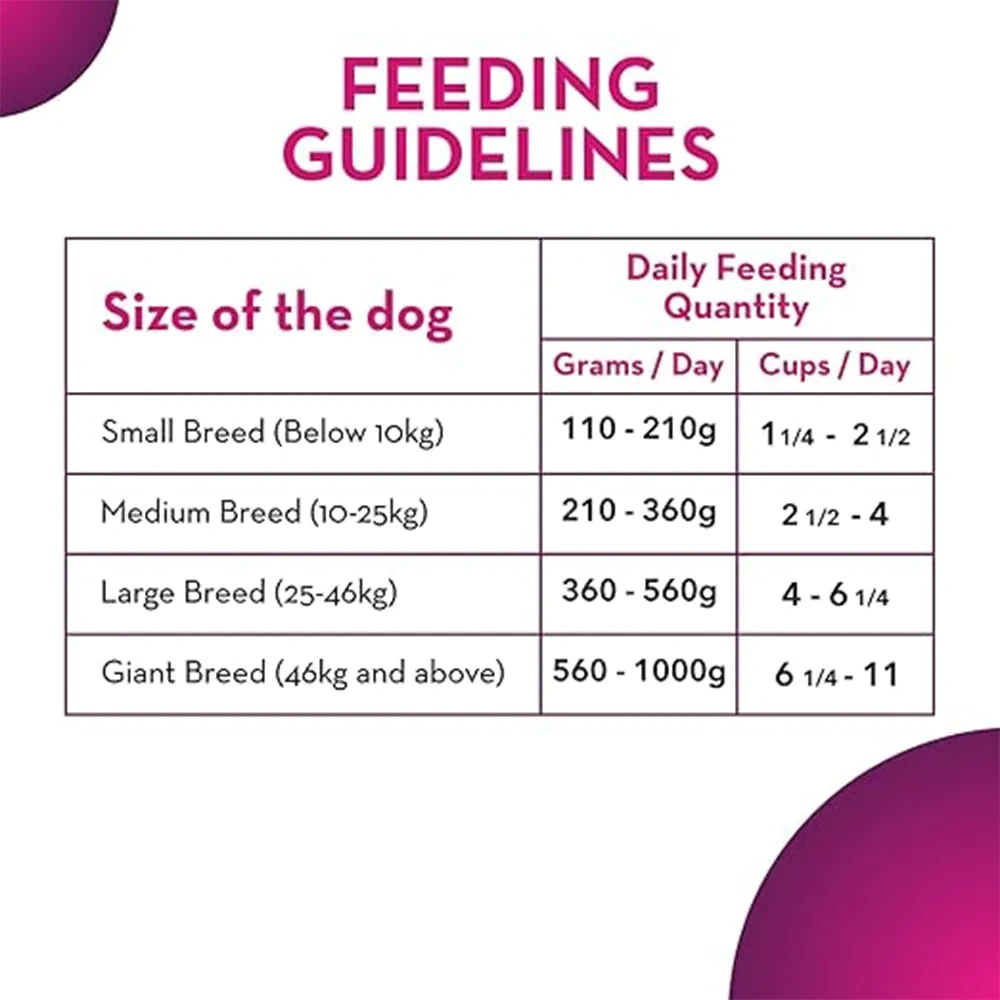 Maxi Adult Dog - Image 4