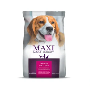 Maxi Adult Dog