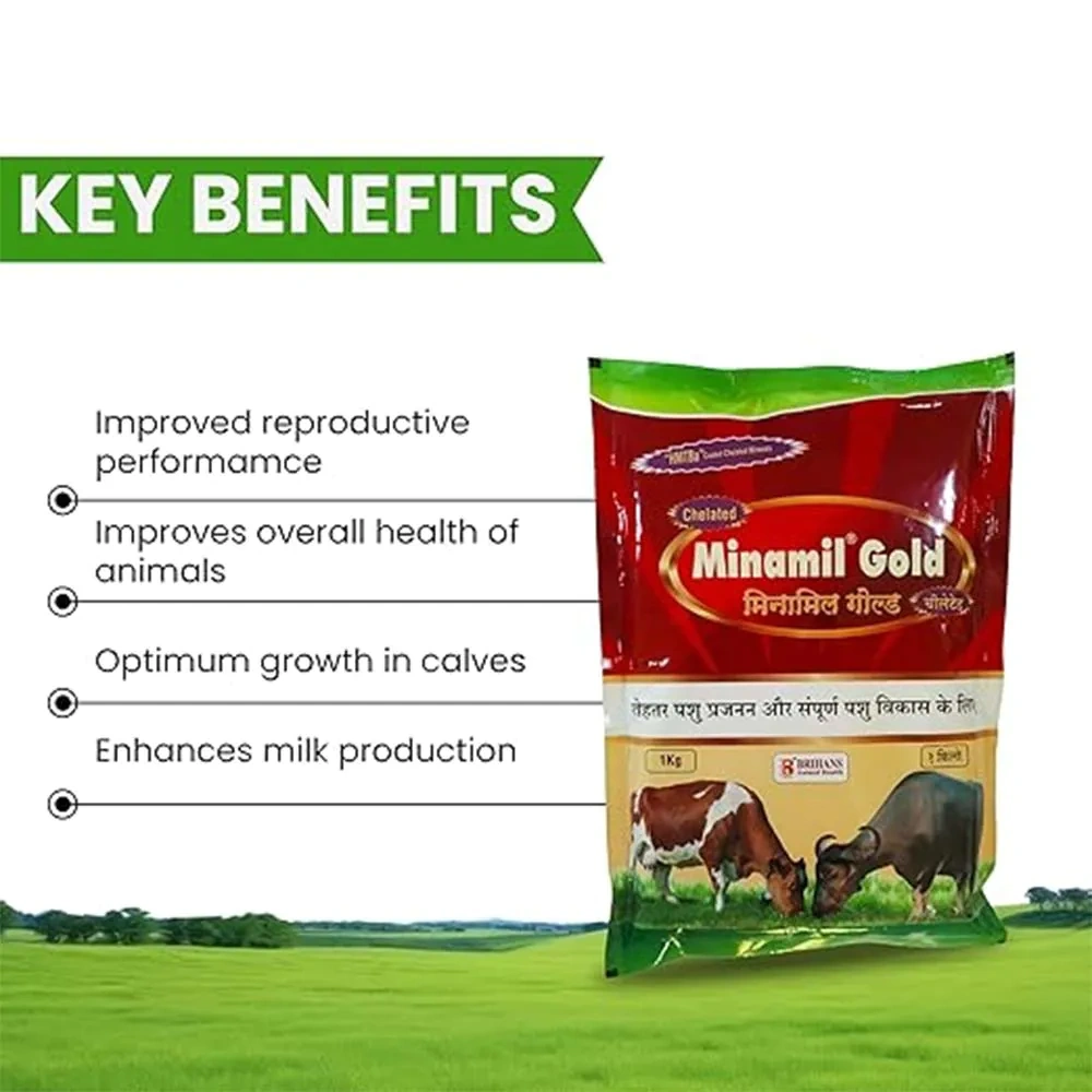 Minamil Gold - Image 5