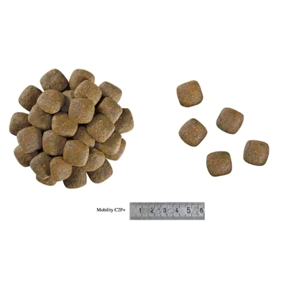 Mobility C2P+ - Image 2