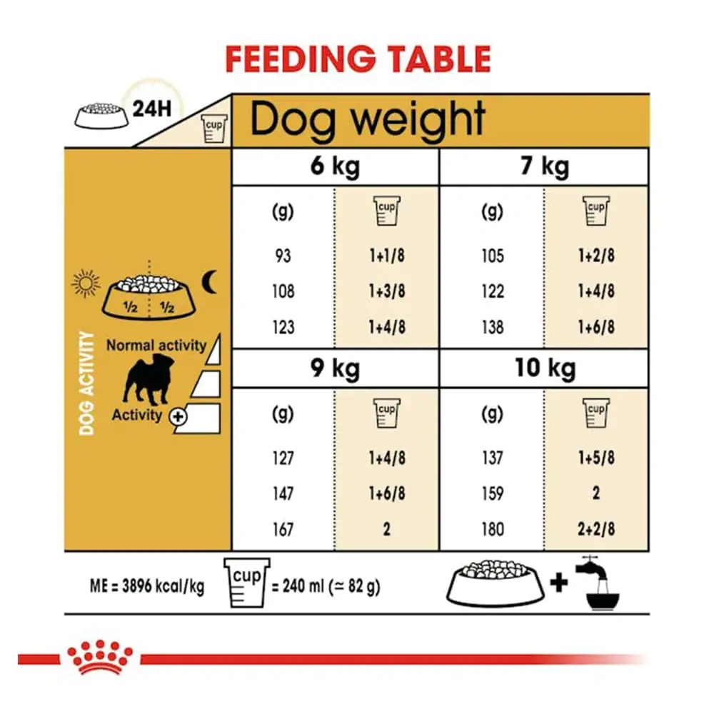 Pug Adult - Image 2