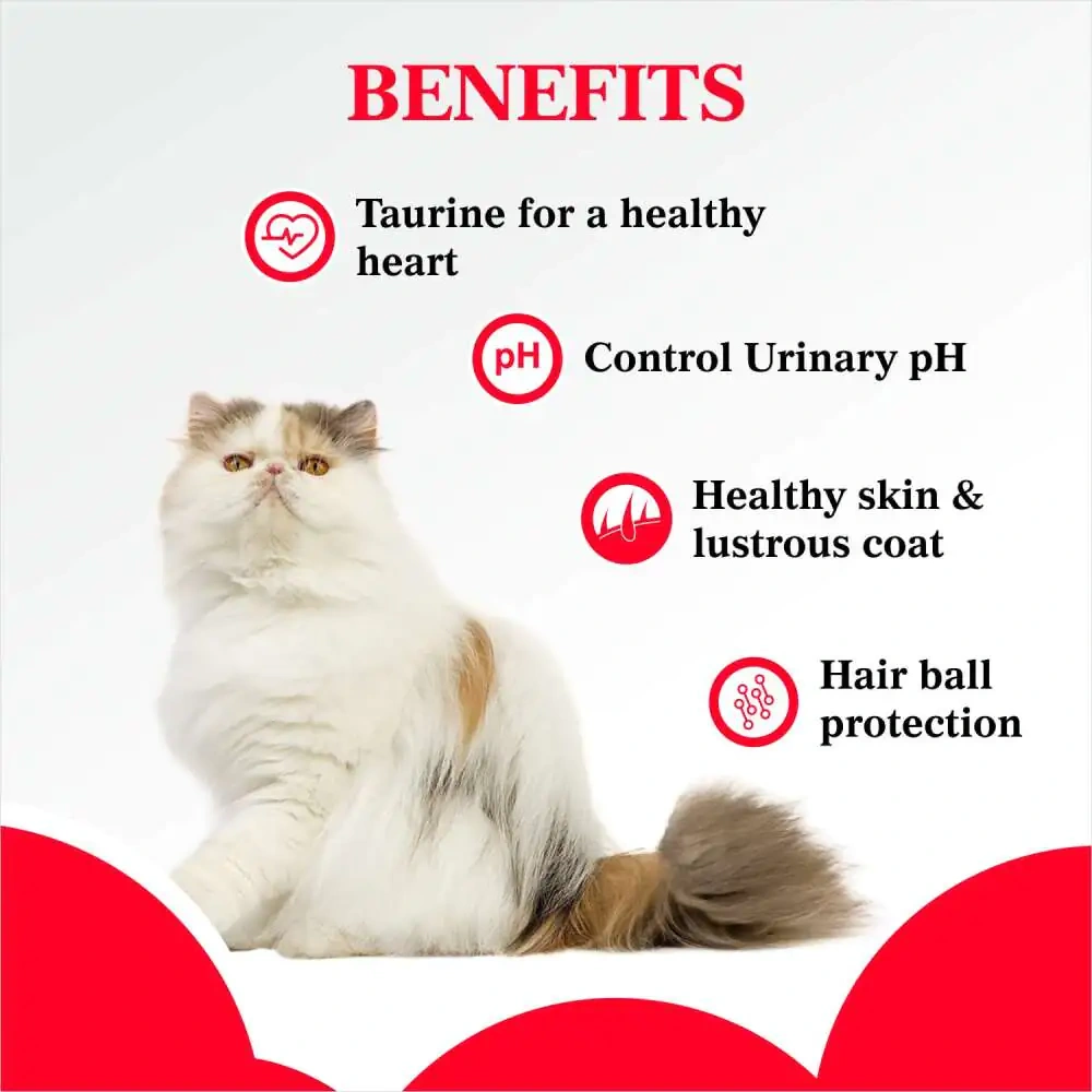 Purepet Cat Adult Persian - Image 3