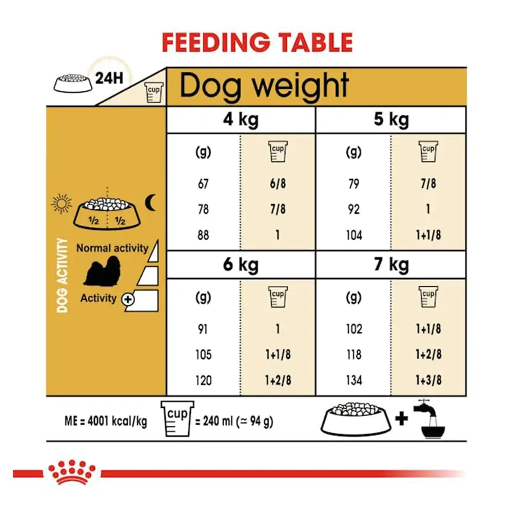 Shih Tzu Adult - Image 3