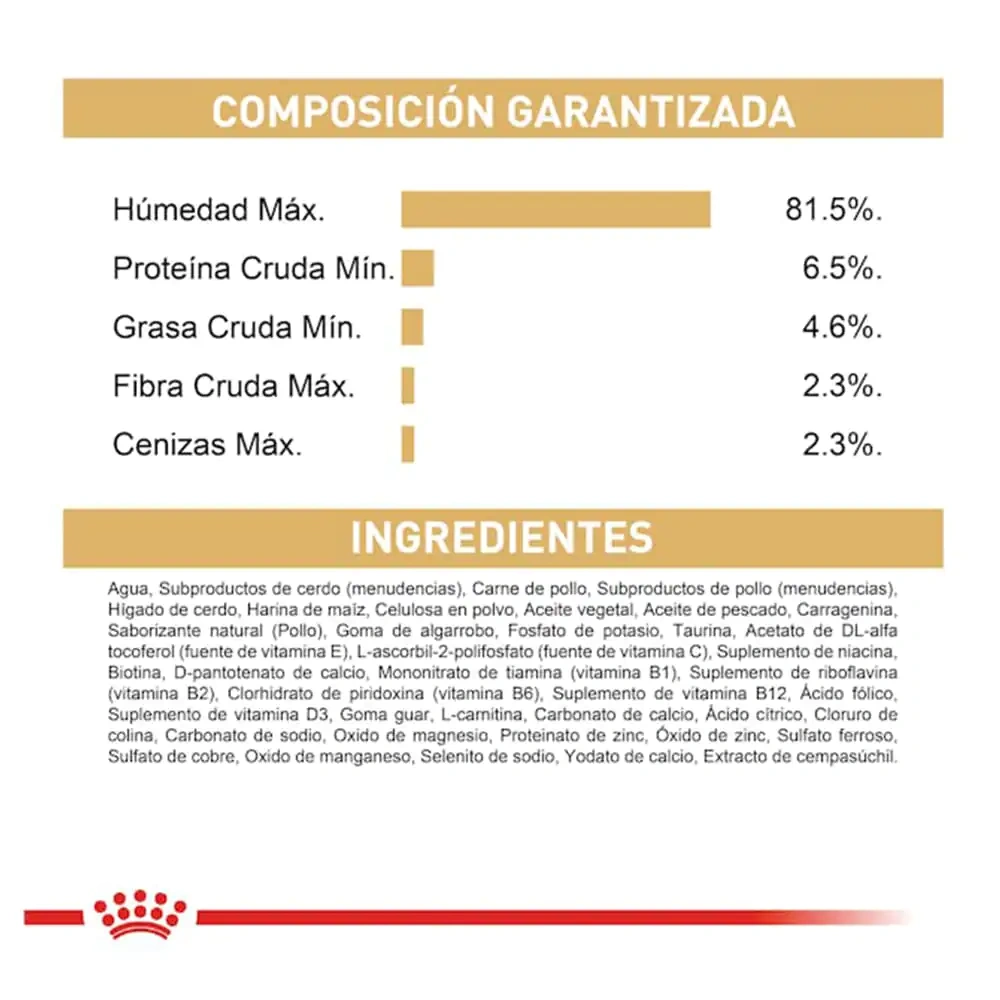 Shih Tzu Adult - Image 2