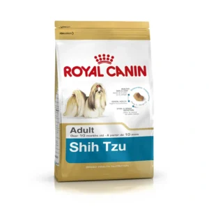 Shih Tzu Adult