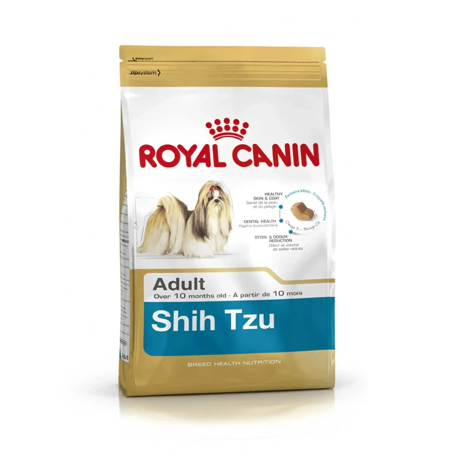 Shih Tzu Adult