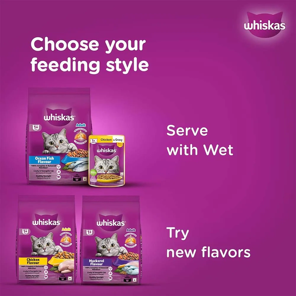 Whiskas Ocean Fish Flavour Adult Cat Dry Food - Image 8