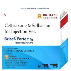 Bricef Forte Inj