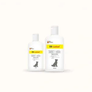 E6-Lotion