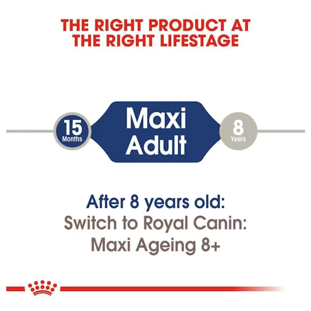 Maxi Adult Gravy - Image 2