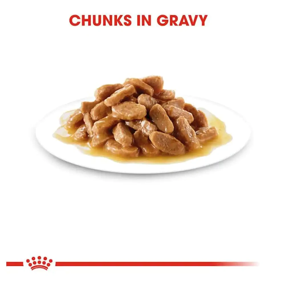 Maxi Puppy Gravy - Image 4
