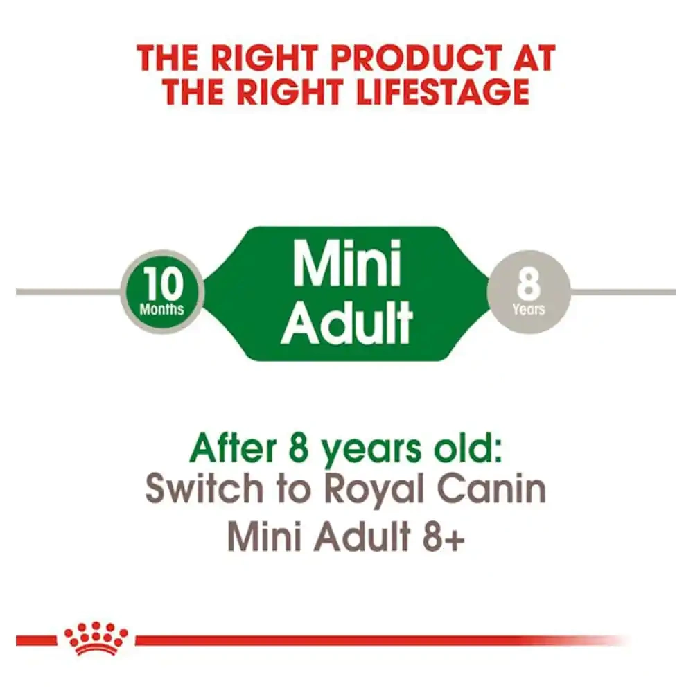 Mini Adult - Image 2