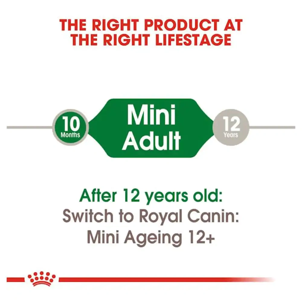 Mini Adult (Gravy) - Image 2