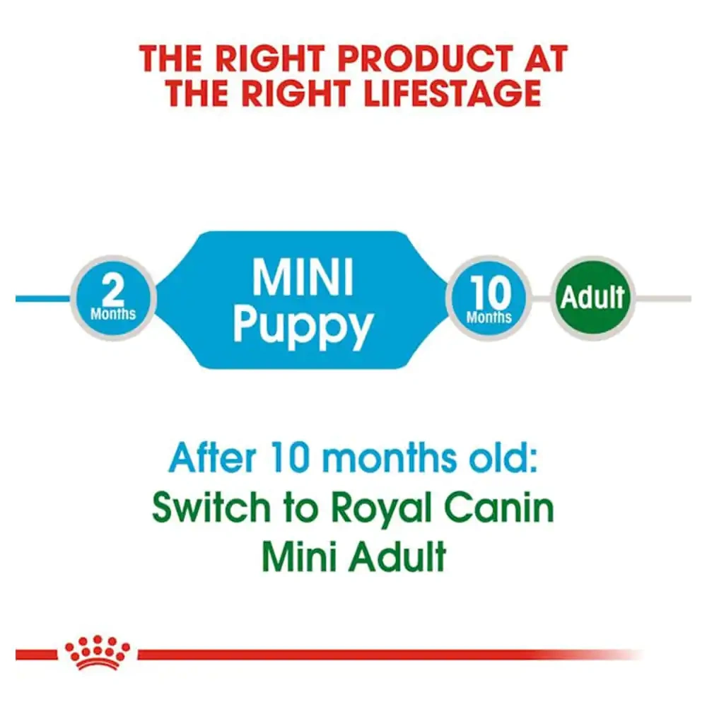 Mini Puppy - Image 2