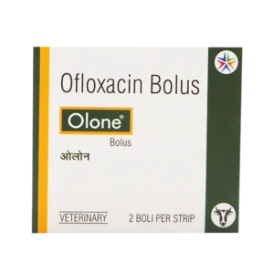Olone Bolus