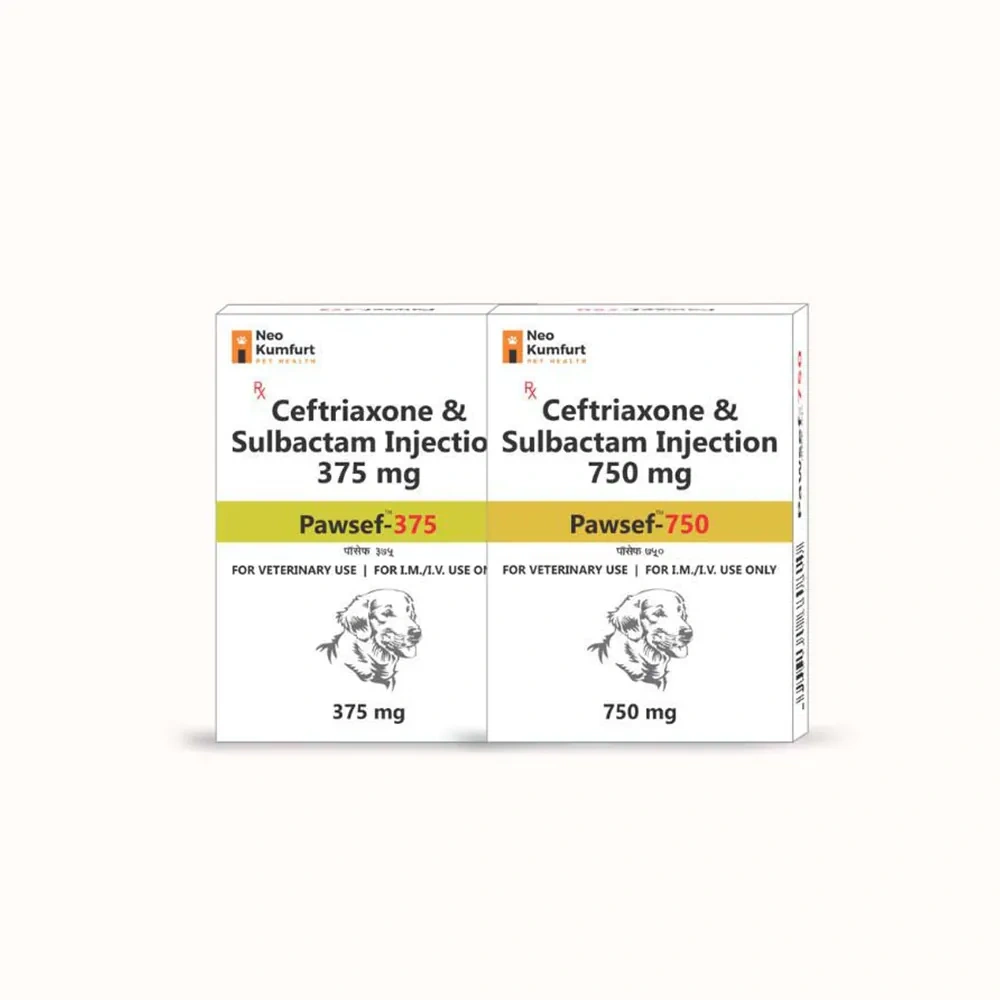 Pawsef 750 mg - Image 2