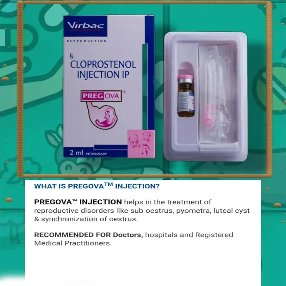 Pregova Injection – Powerful Fertility Solution for Cattle & Mares - Image 3