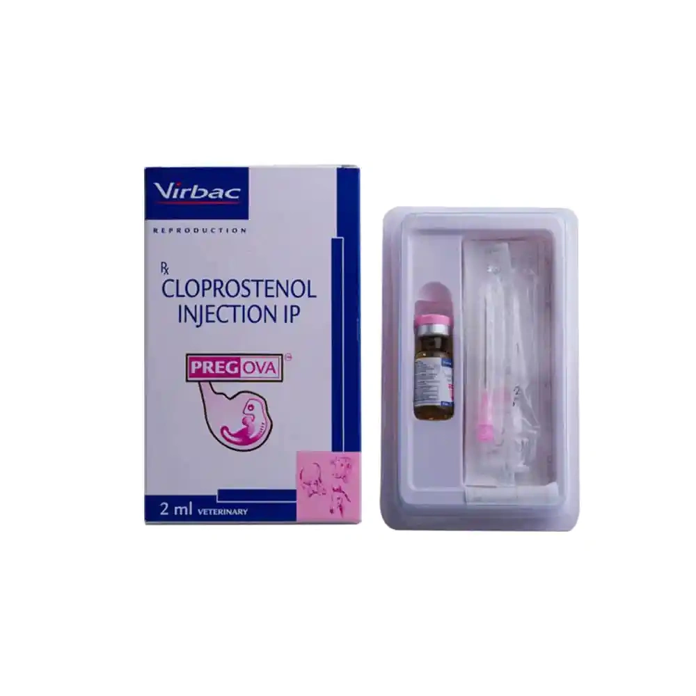 Pregova Injection – Powerful Fertility Solution for Cattle & Mares