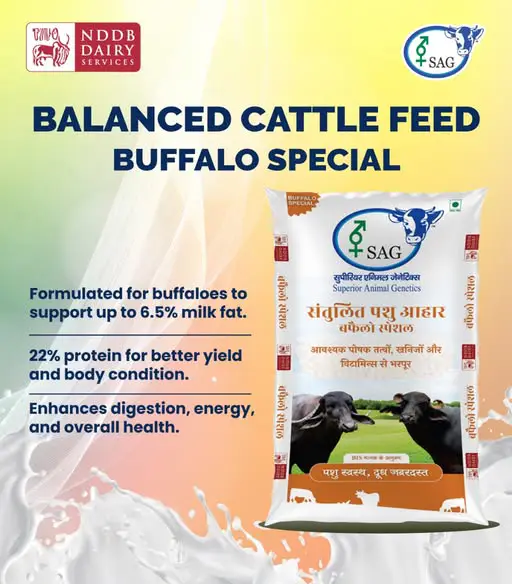 NDDB Buffalo Special Feed