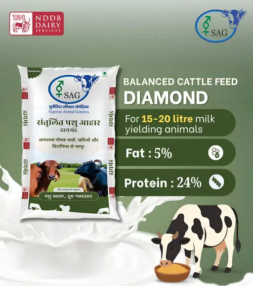 NDDB Cattle Diamond Feed