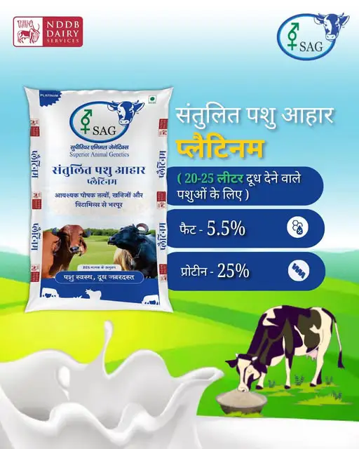 NDDB Cattle Platinum Feed