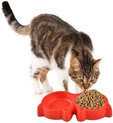 Cat Face Bowl - Image 4