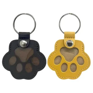 Chain Collar for Paw