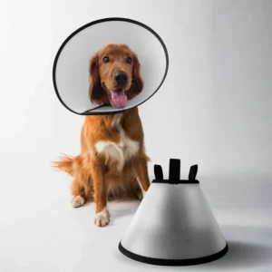 Dog Ecollar 1-7 Sizes